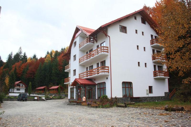 Hotel Paltinis Statjunea Borsa Exterior photo