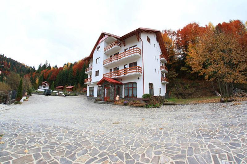Hotel Paltinis Statjunea Borsa Exterior photo